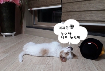노곤한 노을이