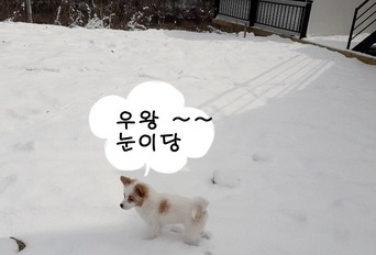 눈밭에서 노을이