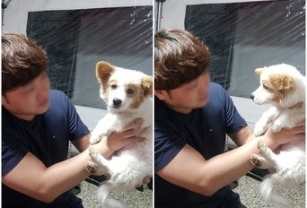 노을이와
